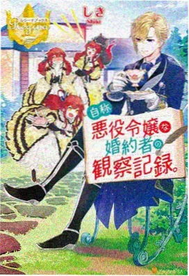 动画分区封面唱片
